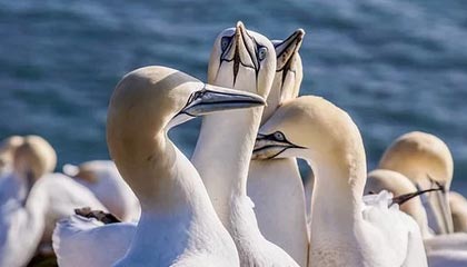 诸暨最新的高价医保个人账户余额微信查询方法分享(诸暨医保查询个人账户明细怎么查微信教程)