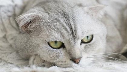 诸暨最新的高价医保个人账户余额微信查询方法分享(诸暨医保查询个人账户明细怎么查微信教程)