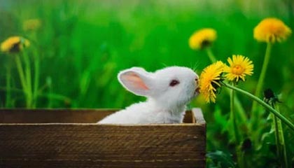 诸暨最新的高价医保卡惠民保险代扣怎么取消掉了方法分享(诸暨惠民医保怎么报销教程)